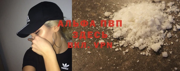 стафф Надым