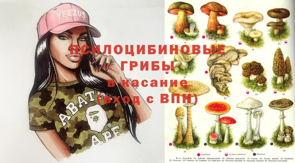 стафф Надым