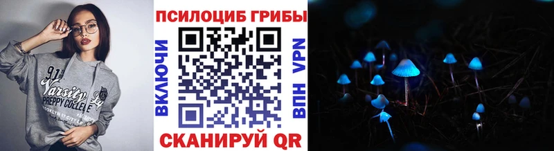 закладка  Новочеркасск  мориарти формула  Галлюциногенные грибы Psilocybe 