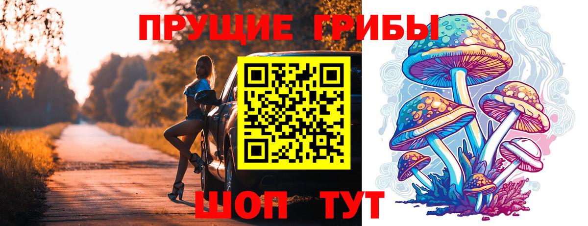 Псилоцибиновые грибы мицелий Новочеркасск
